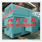 西安西瑪電機假一賠十 YKK5004-6 630KW